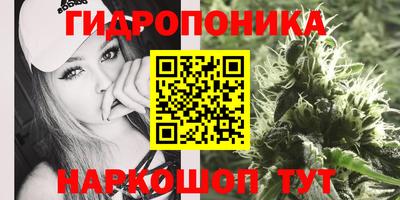 гидропоника Малгобек
