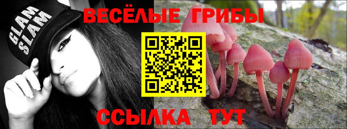 Гатчина  Галлюциногенные грибы Cubensis  купить наркотик  Псилоцибиновые грибы Cubensis  Вход с VPN 