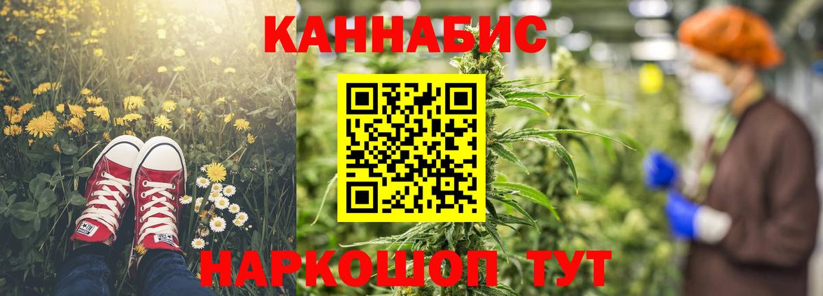 Шишки марихуана OG Kush  Бошки Шишки Amnesia  Гатчина  Конопля конопля  Вход с VPN  Бошки Шишки индика 
